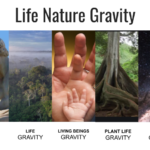 Life Nature Gravity